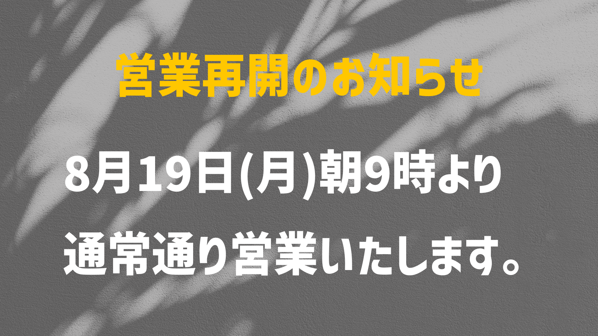 営業再開いたします！